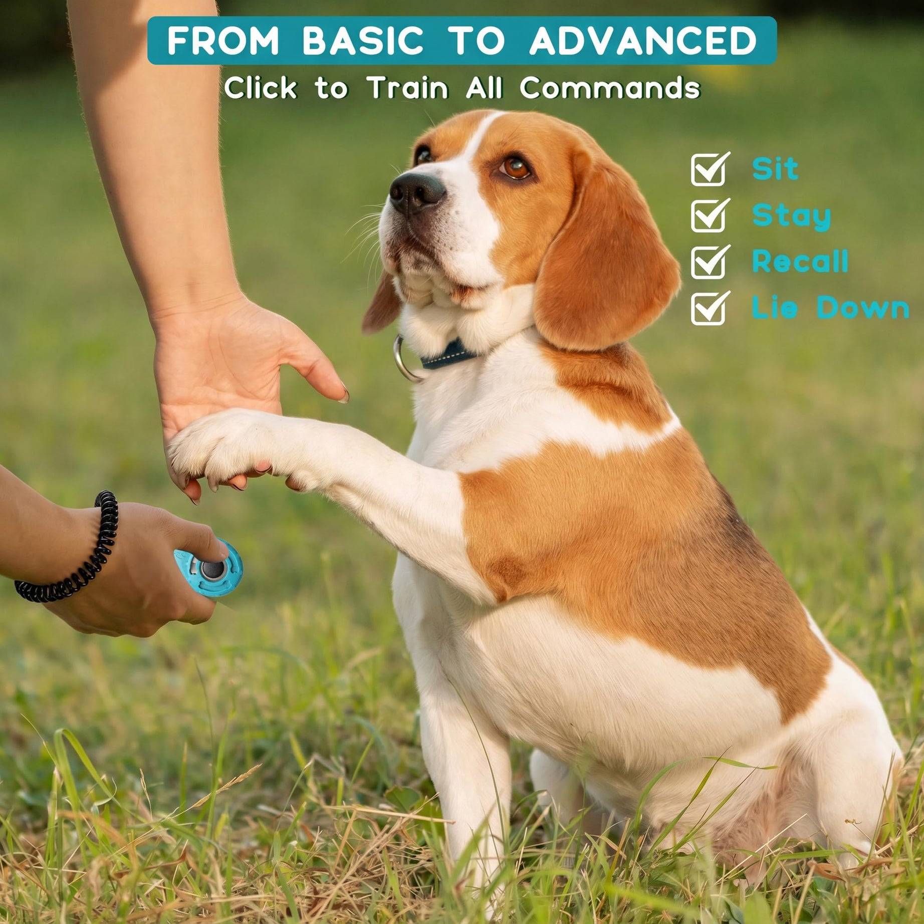 Dog Training Clicker With Sring Wrist And Keyring Pet Clickers