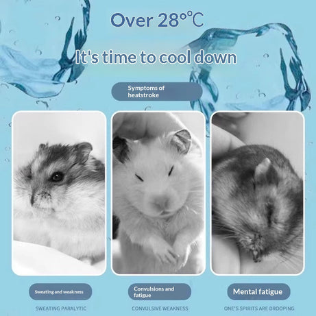 Pet Cooling Ice Mat Fast Heat Conduction Cool And Breathable