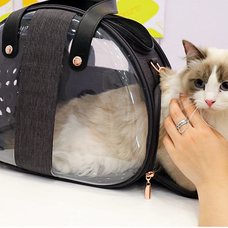 Double Fish Transparent Dog Bag Puppy Cat Cane Backpack Accessory