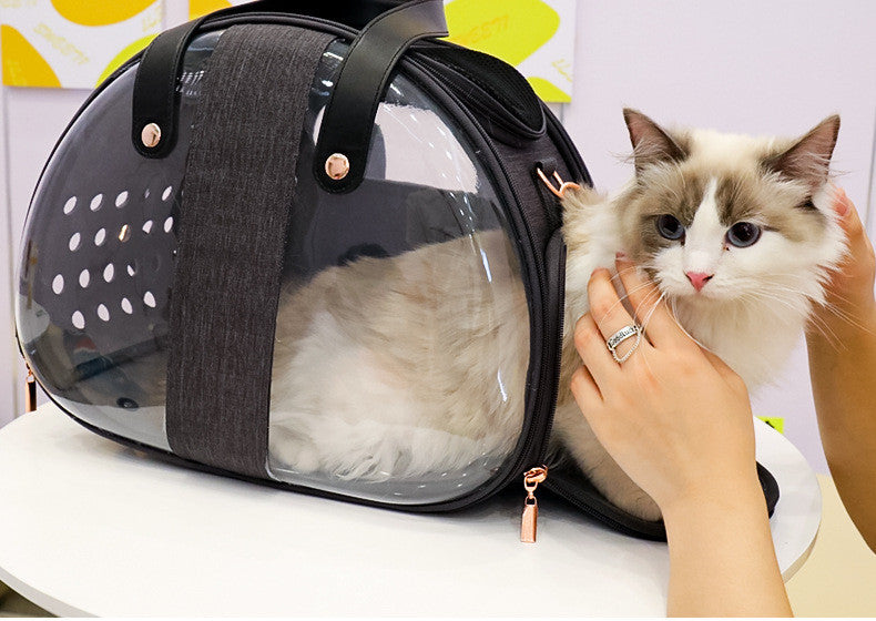 Double Fish Transparent Dog Bag Puppy Cat Cane Backpack Accessory