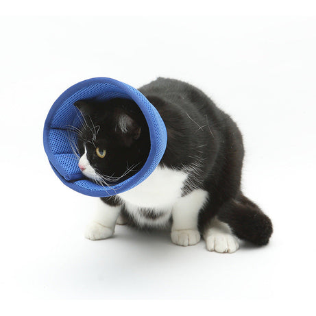 Dog Cat Anti-bite Collar Pet Medical Recovery Collars Transparent