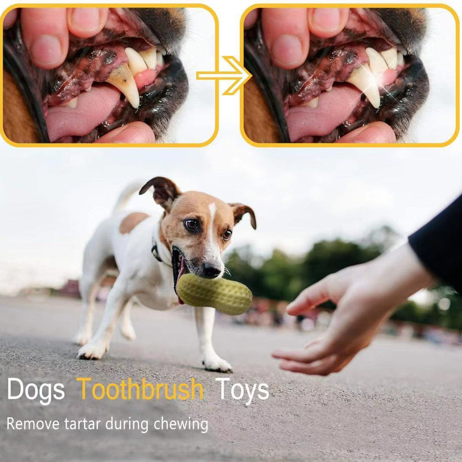 Funny Pet Dog Squeaky Toys For Small Middle Dogs Bite Resistant
