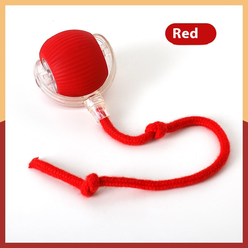 Interactive Cat Toy Ball Super Drive Rolling