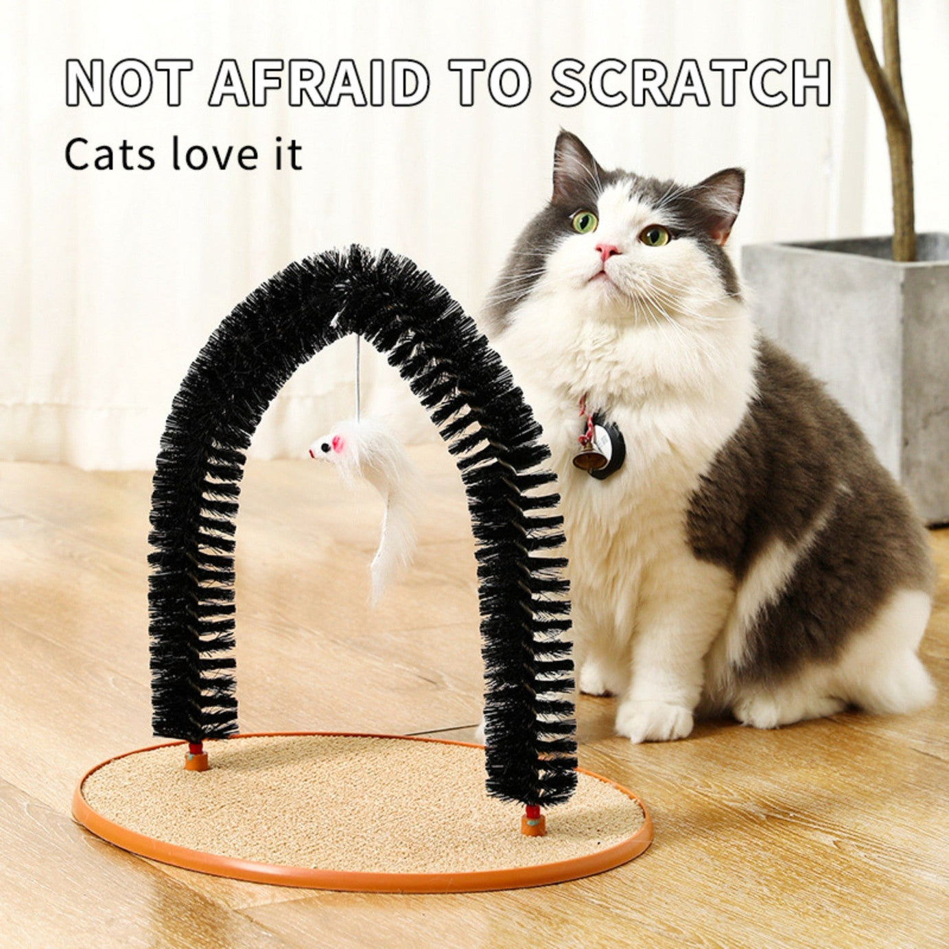Cat Hair Rub And Anti-itch Device Plastic Arch-shaped Brush