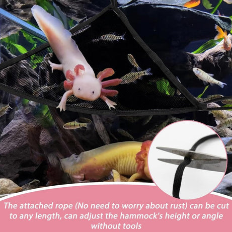 2-pack Pet And Reptile Hammock With 6 Suction Cups 1 Rope