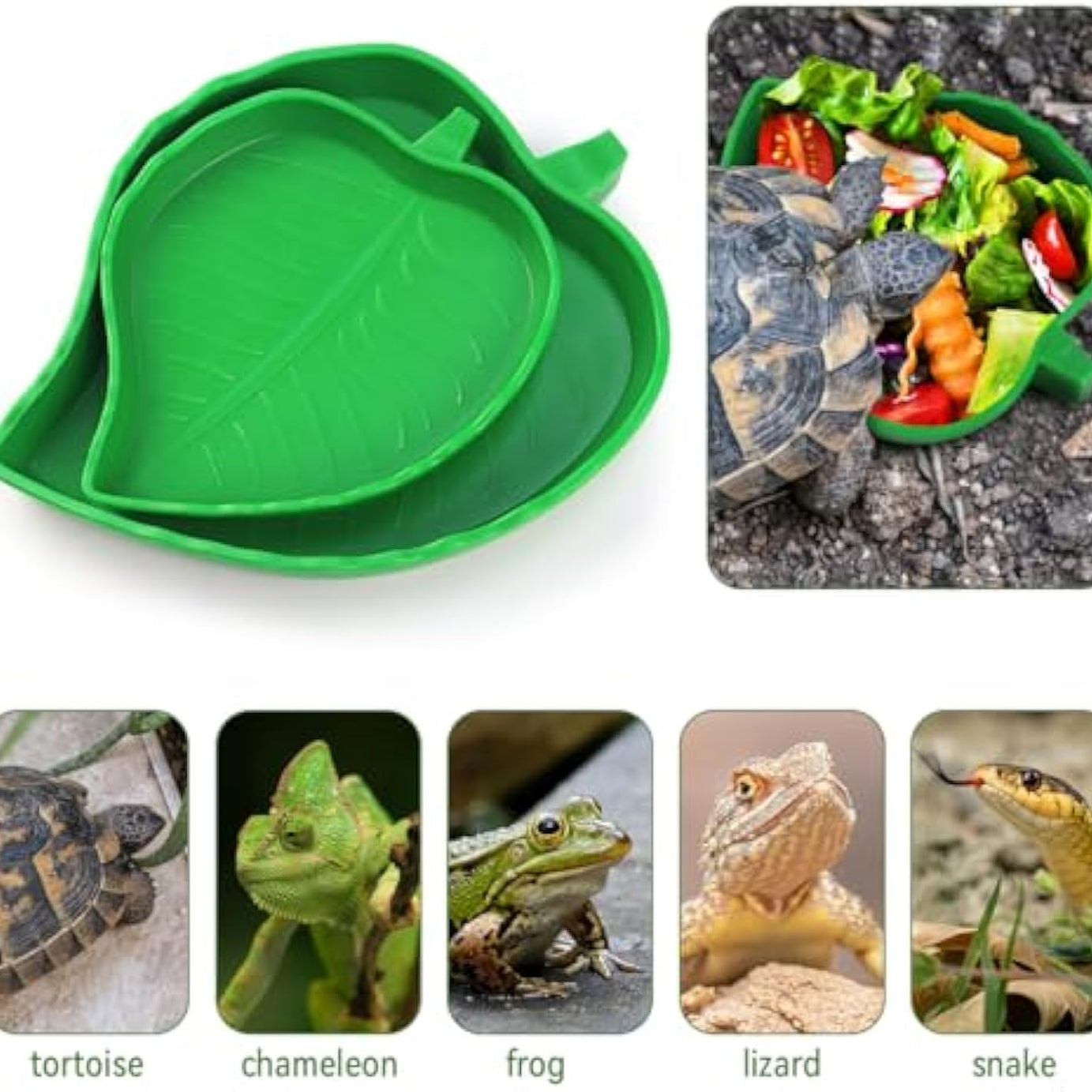 2 Pcs Leaf Reptile Food Water Bowl Plate Dish For Tortoise Lizards