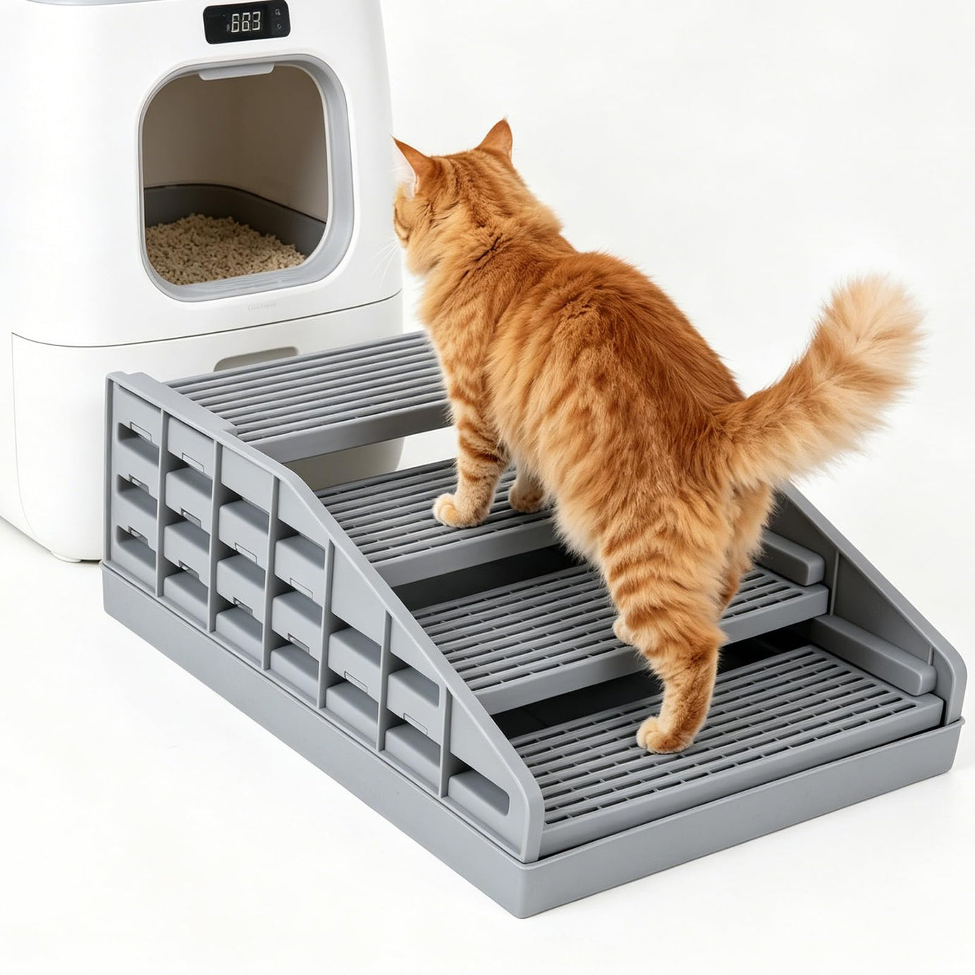 Adjustable Litter Box Ramp Elevated Cat Stairs With Filter Function