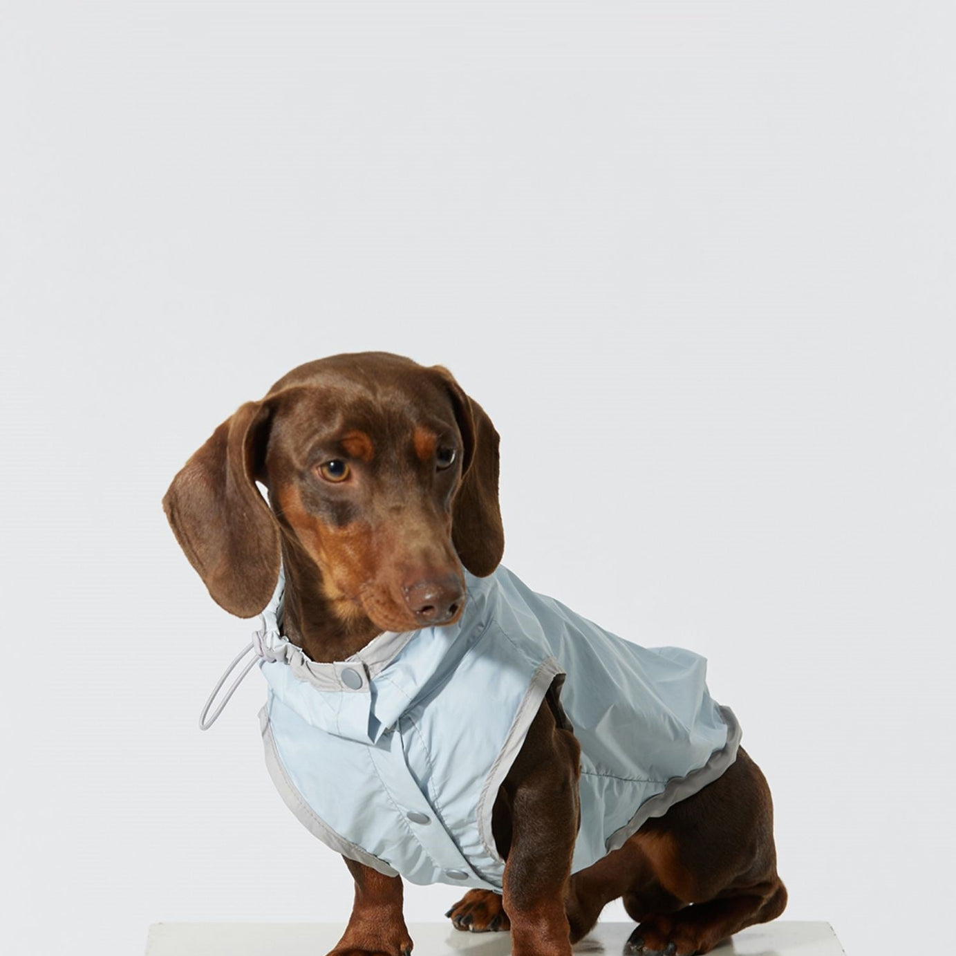 Dog Ultra-thin Vest Raincoat Water And Dirt Resistant Wind Shield