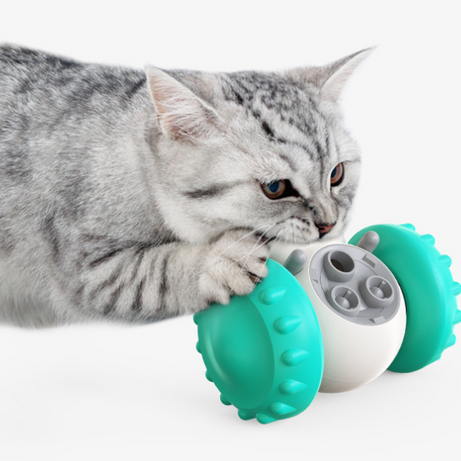 Cat And Dog Toys Slow Food Interactive Balance Car Multifunctional