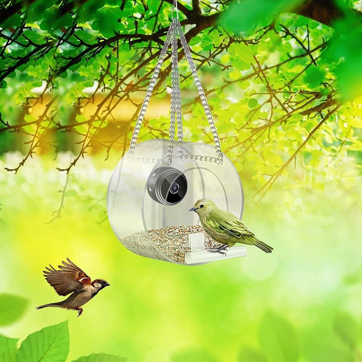 Pet Smart Feeder Outdoor Real-time Monitoring With Hd Camera