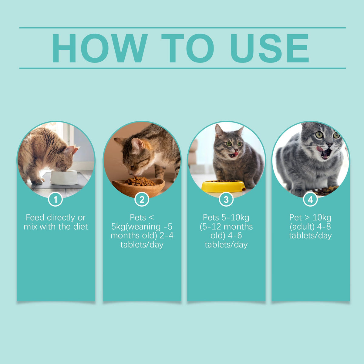 Cat Probiotic Supplement Tablets Gut Digestive Health Support