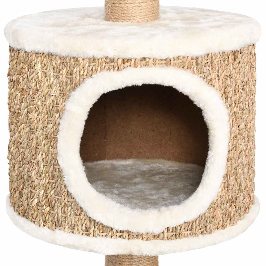 Cat Scratching Post 123 Cm Seagrass