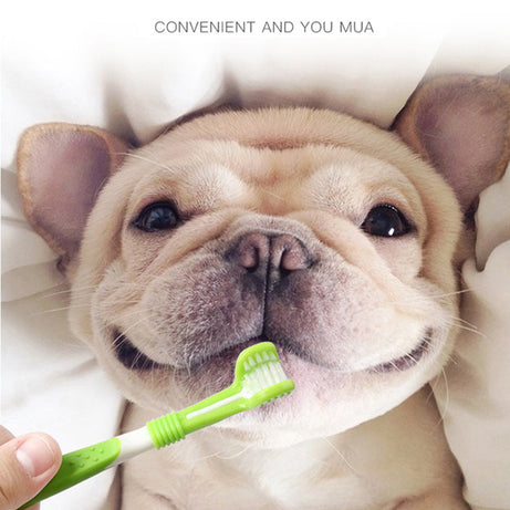 Pet Silicone Finger Toothbrush Dog Three-head