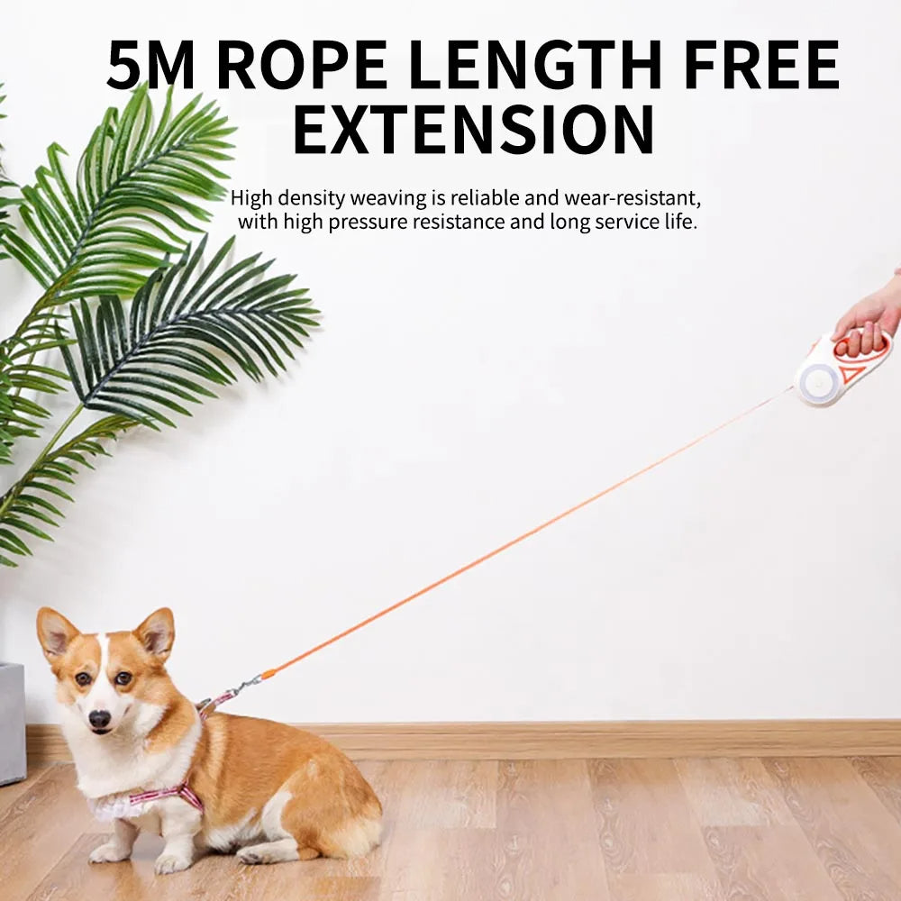 3 And 5m Dog Leash Light Retractable Pet Leads Traction Rope Belt