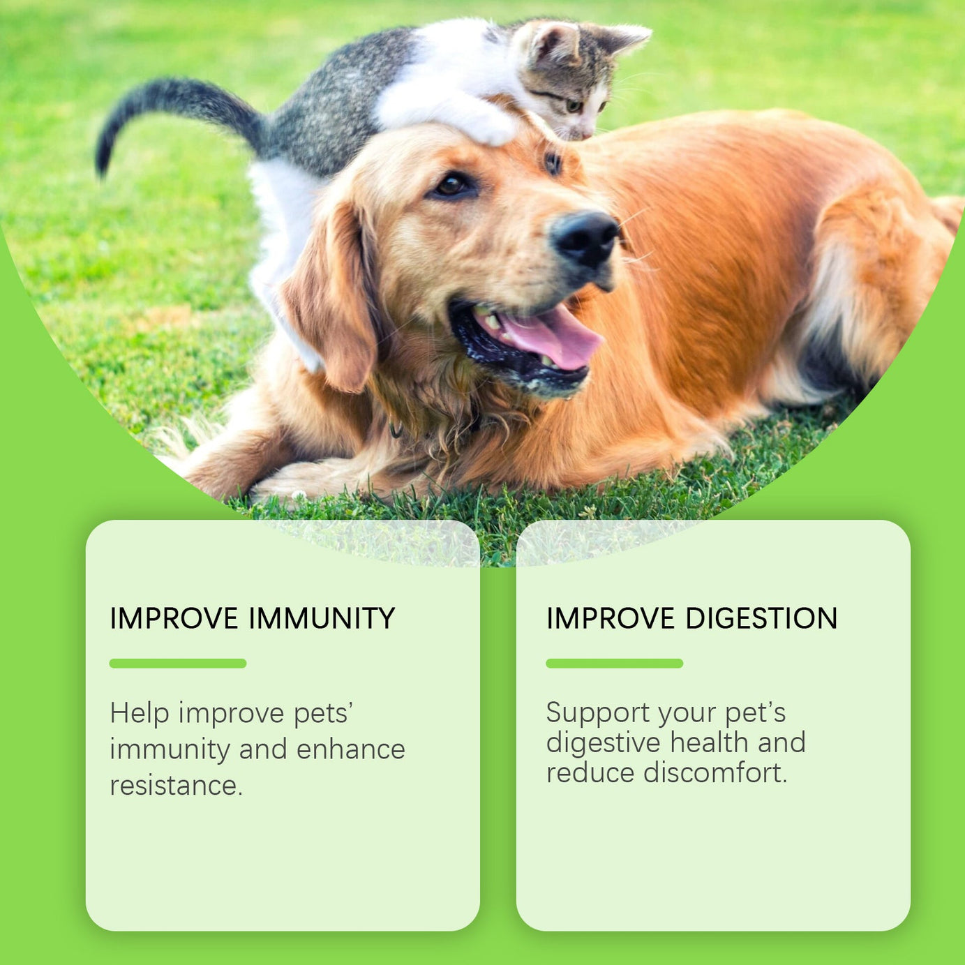 Pet Probiotics Vitamin Tablets For Dogs Cats Gut Health Supplement