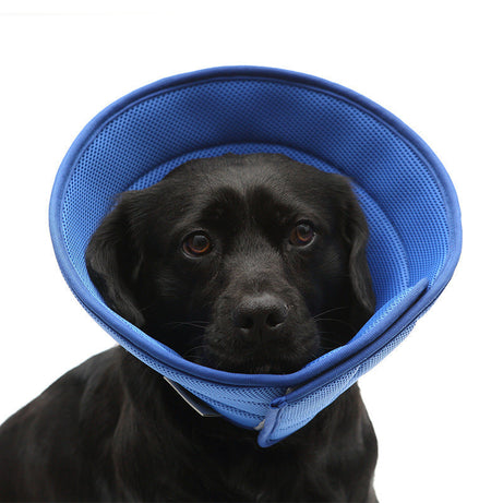 Dog Cat Anti-bite Collar Pet Medical Recovery Collars Transparent