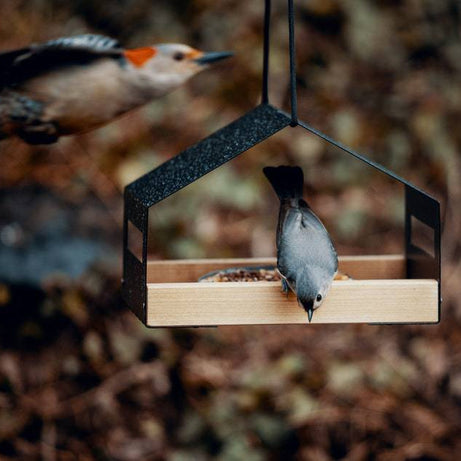 Outdoor Gardening Garden Decoration Hanging Bird Feeder