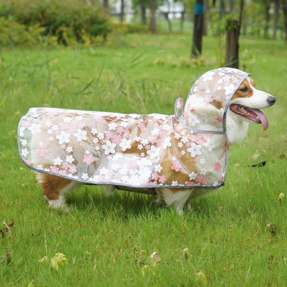 Pet It Tpu Floral Dog Cloak Raincoat Corgi Medium-sized Universal
