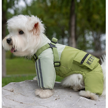 Autumn And Winter Dog Small And Medium-sized Teddy Outdoor