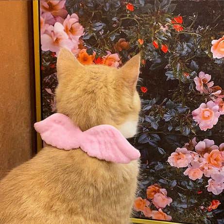 New Cat Specific Pet White Collar Angel Wing Accessories Outdoor
