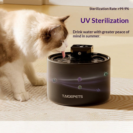 Cat Water Fountain Ceramic Pet Automatic Dispenser