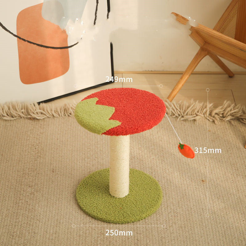 Kitten Cat Climbing Frame Small Scratching Post Sisal Board