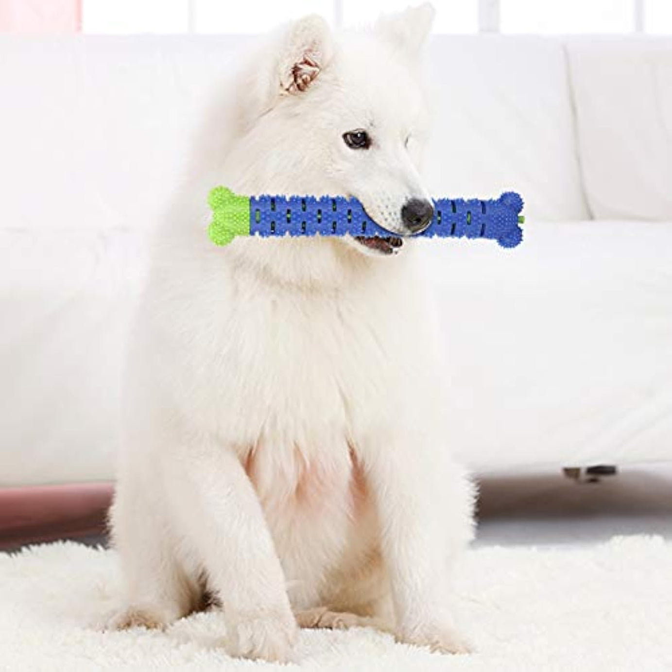Blue Green Pet Molar Tooth Cleaner Brushing Stick Cleaning Supplies