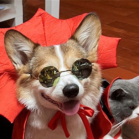 Halloween Pet Costumepet Cape Vampire King