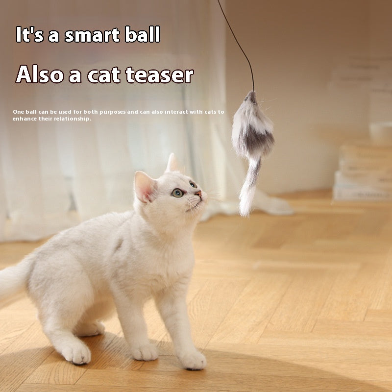 Cat Toys Mouse Teaser Ball Funny Moving Toy For Pets Dog Electric