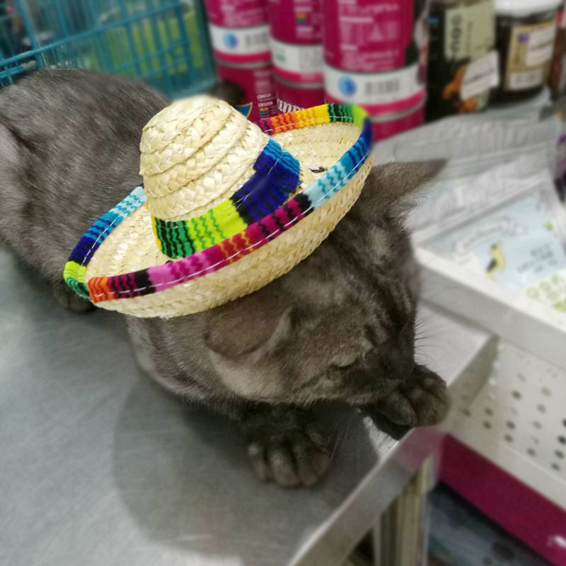 Pet Supplies Straw Woven Mini Pet Dog Hat Pet Mexican Pet Cat Sun