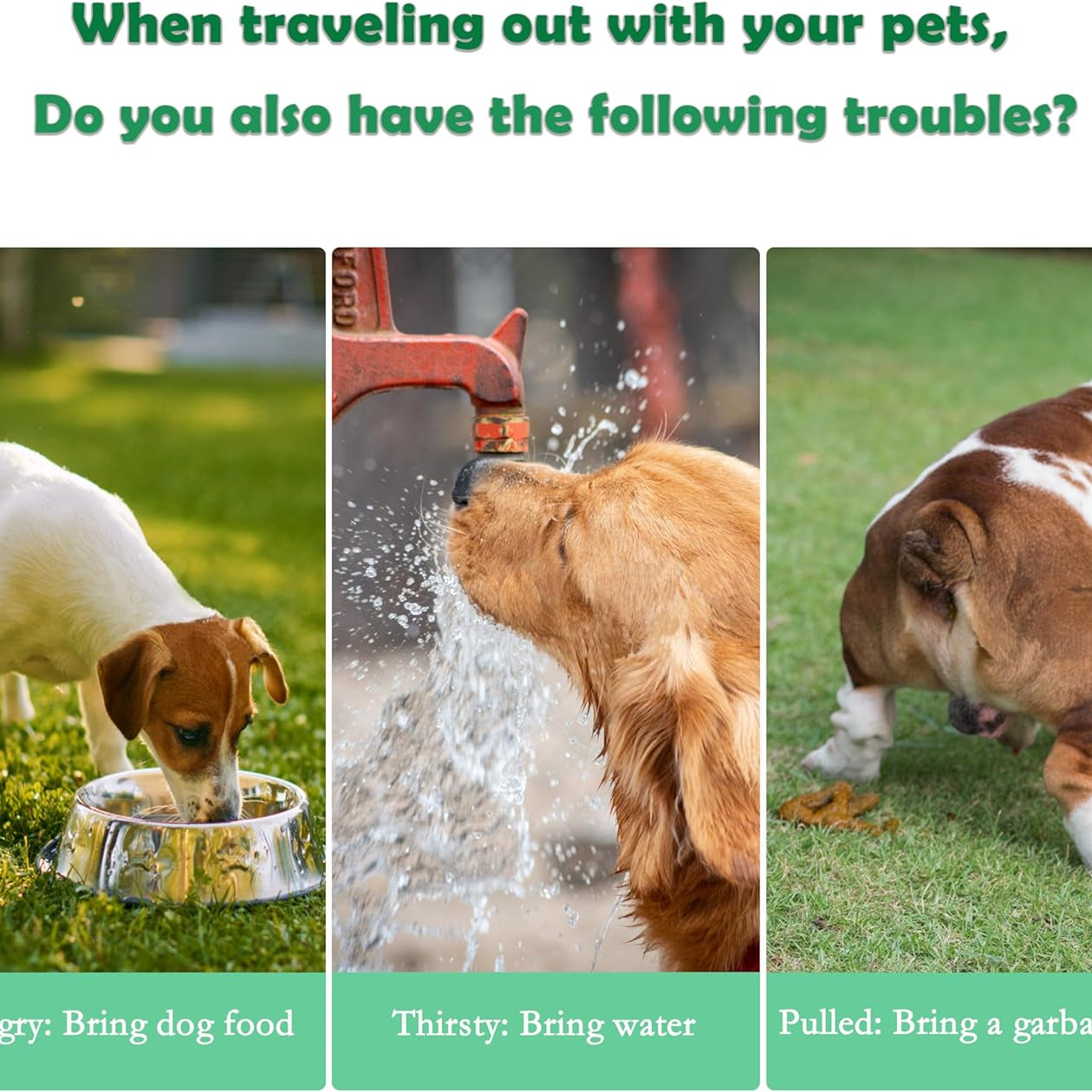3-in-1 Pet Water Bottle Outdoor Portable Dog With Food Container