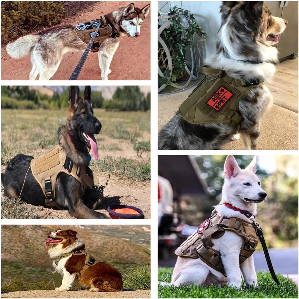 Pet Harness Luxury Dog Leash Set Chest Nylon Camouflage