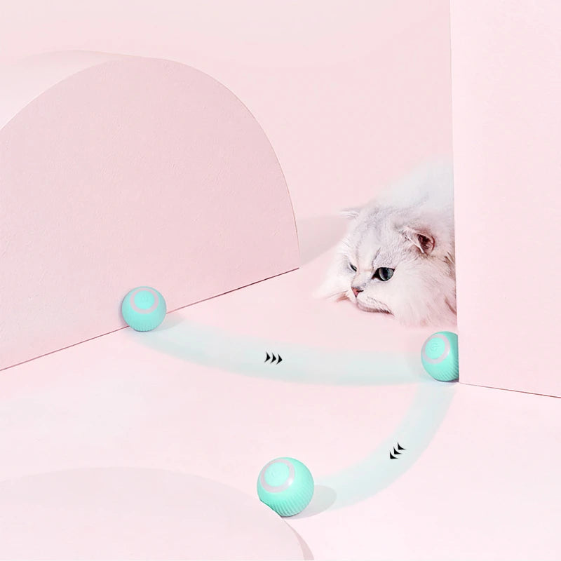 Remote Control Interactive Cat Car Toy USB Charging Chasing