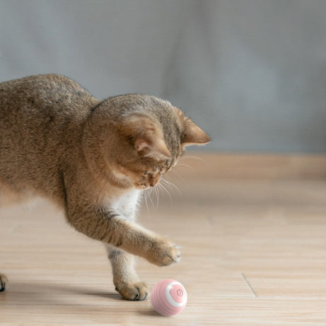 Automatic Moving Bouncing Rolling Ball Smart Cat Toy Self-moving