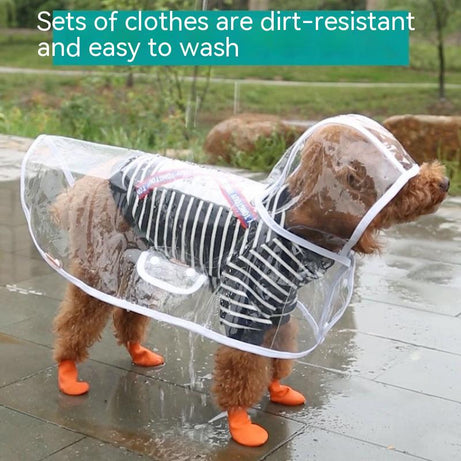 Pet Raincoat Dog Small