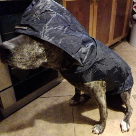 Pet Waterproof Windproof Hood Puppy Raincoat