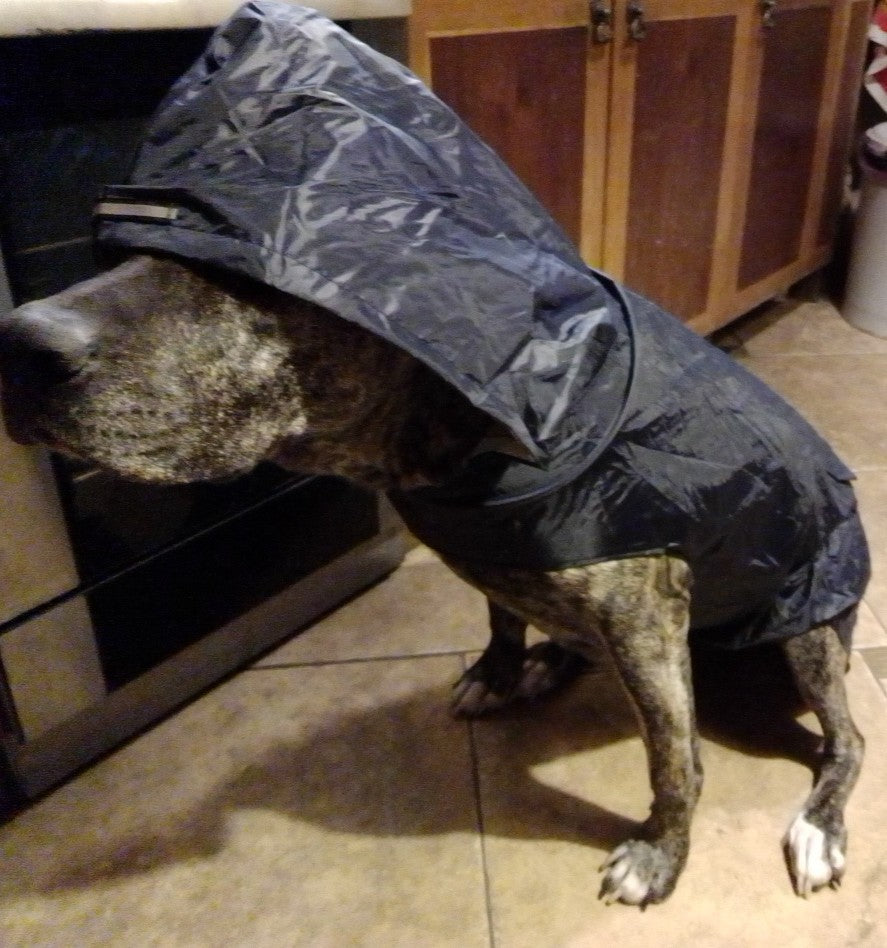 Pet Waterproof Windproof Hood Puppy Raincoat