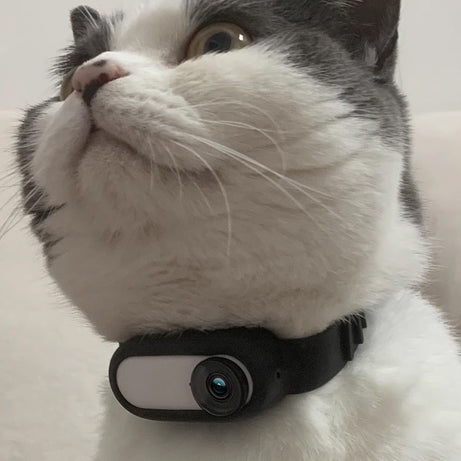 Pet Supplies Cat And Dog Collar Camera Indoor And Outdoor Wireless