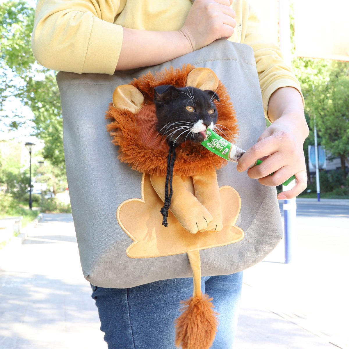 Soft Pet Carriers Lion Design Portable Breathable Bag Cat Dog