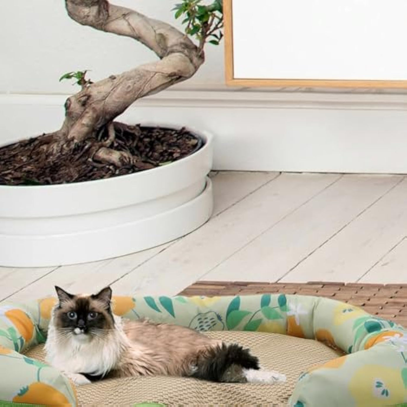 Cooling Mat For Pets Sleeping For Dogs And Cats Summer Self Pad