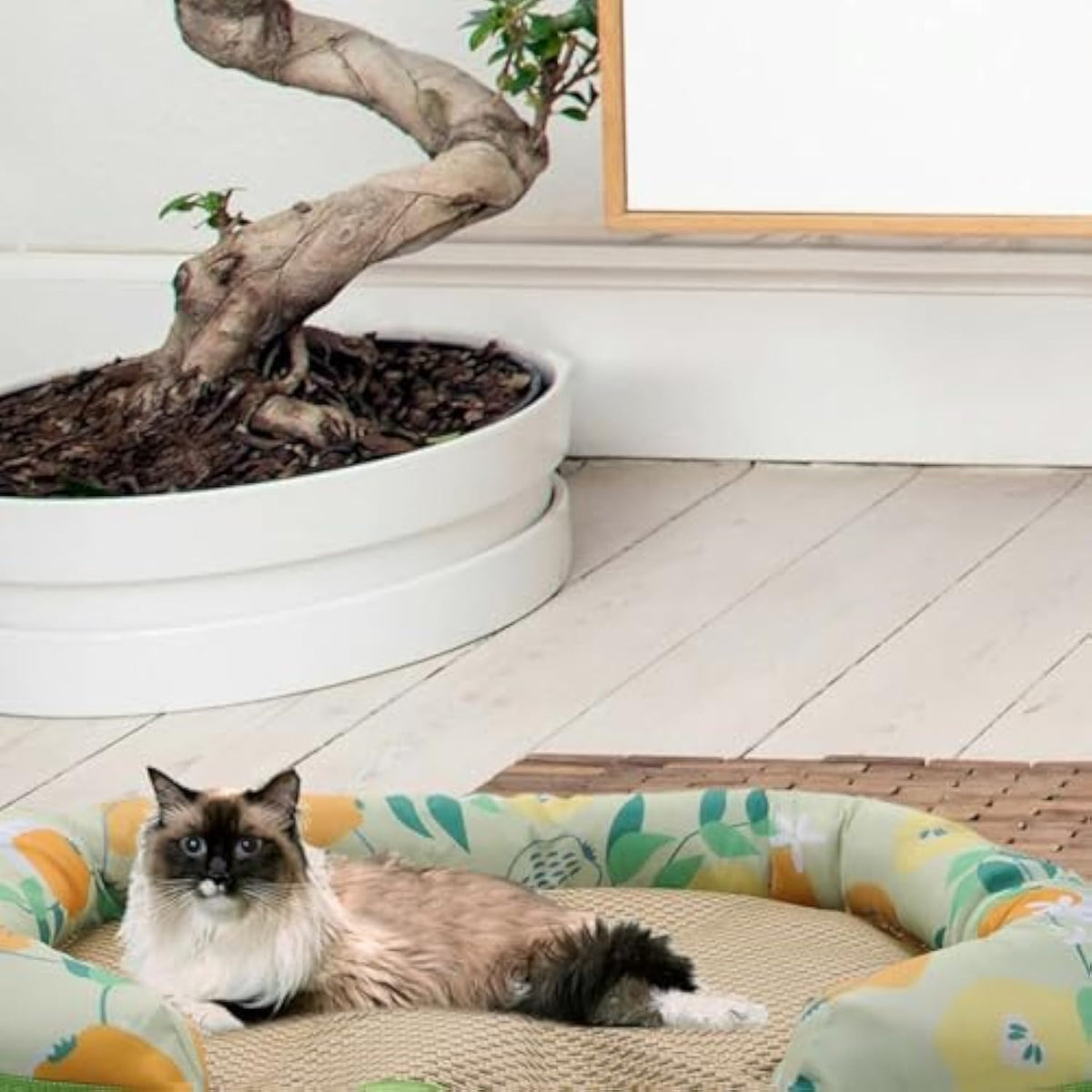Cooling Mat For Pets Sleeping For Dogs And Cats Summer Self Pad