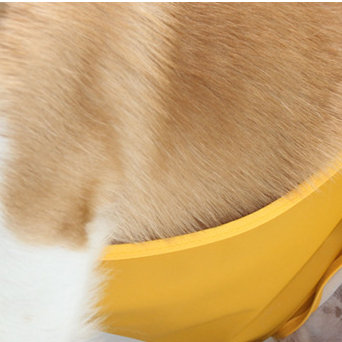 Dog Raincoat Transparent Brim Pet Poncho With Bellyband