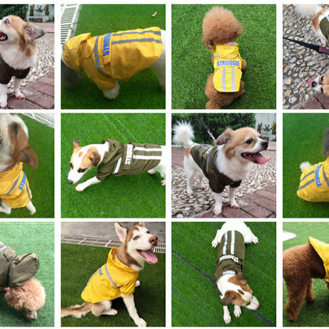 New Style Pet Raincoat With Reflective Strips