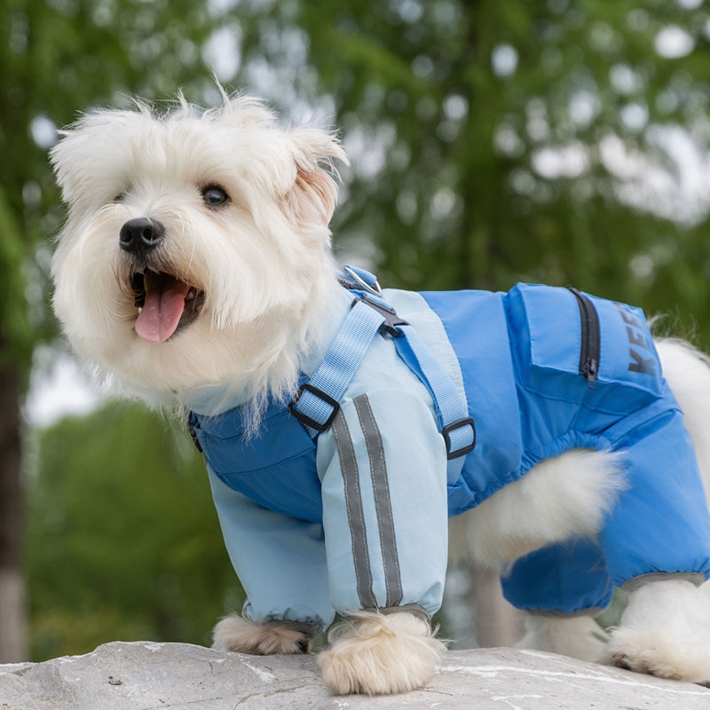Autumn And Winter Dog Small And Medium-sized Teddy Outdoor