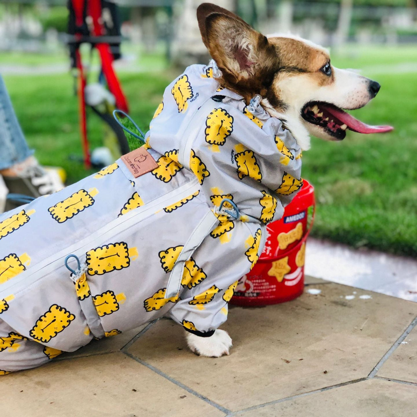 Short Leg Captain Golden Retriever Corgi Fully Wrapped Waterproof