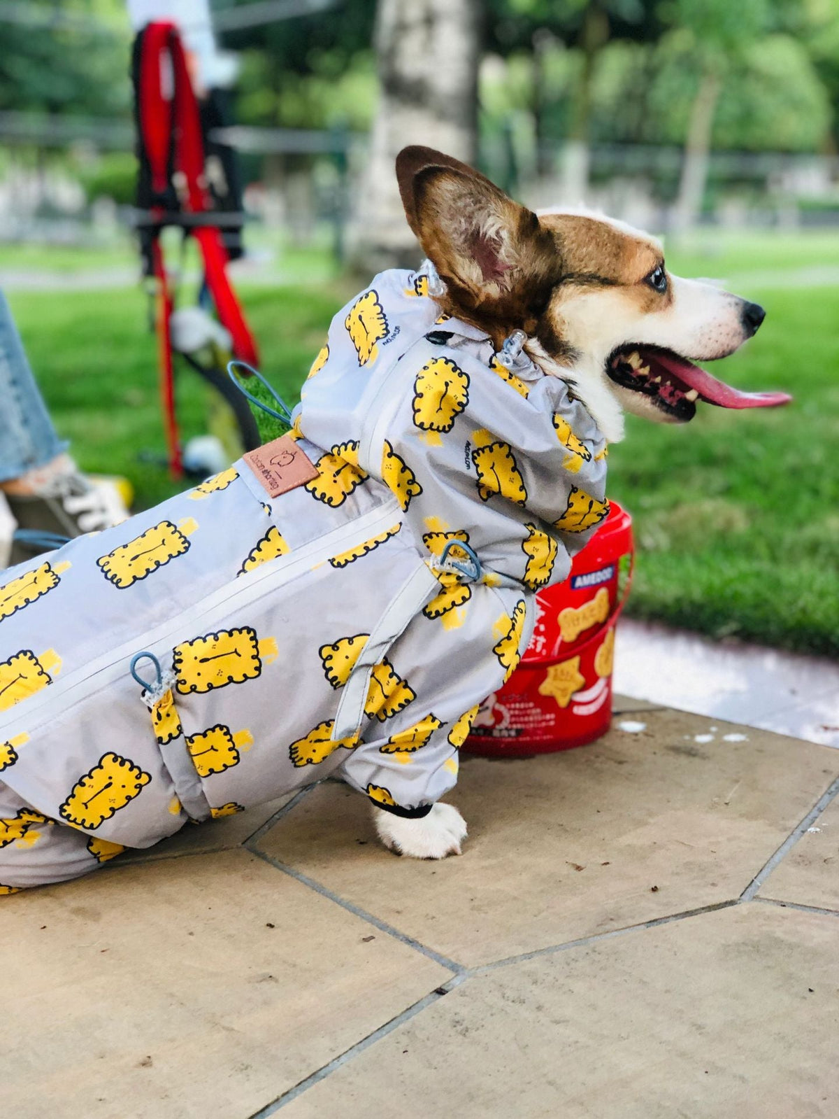 Short Leg Captain Golden Retriever Corgi Fully Wrapped Waterproof