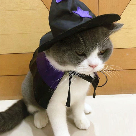Pet Halloween Wizard Dressup Decoration Set