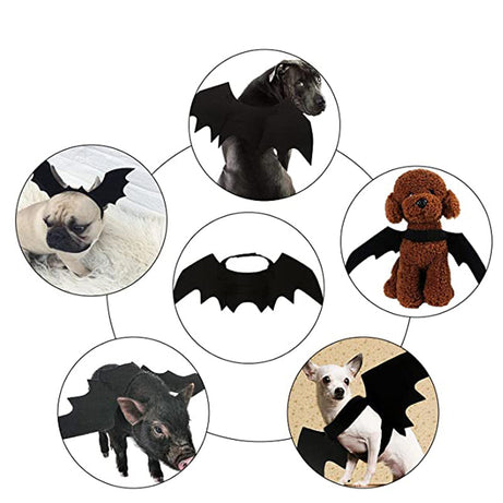 Halloween Creative Pet Cat Small Dogs Bat Wings Accessories