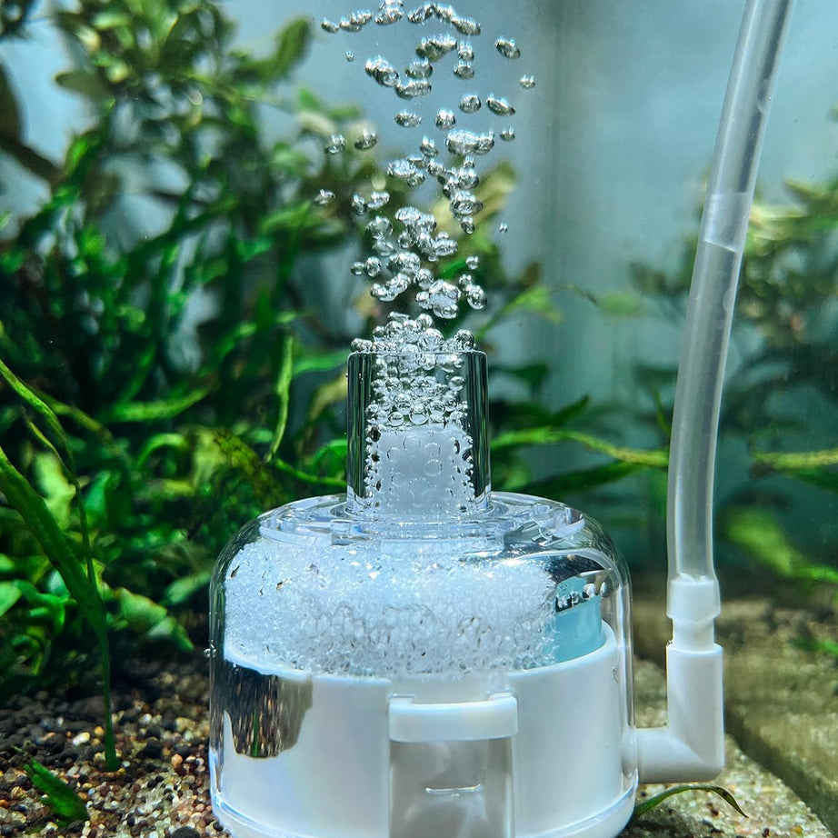 Mini Aquarium Sponge Filter Small Fish Tank Submersible Built-in