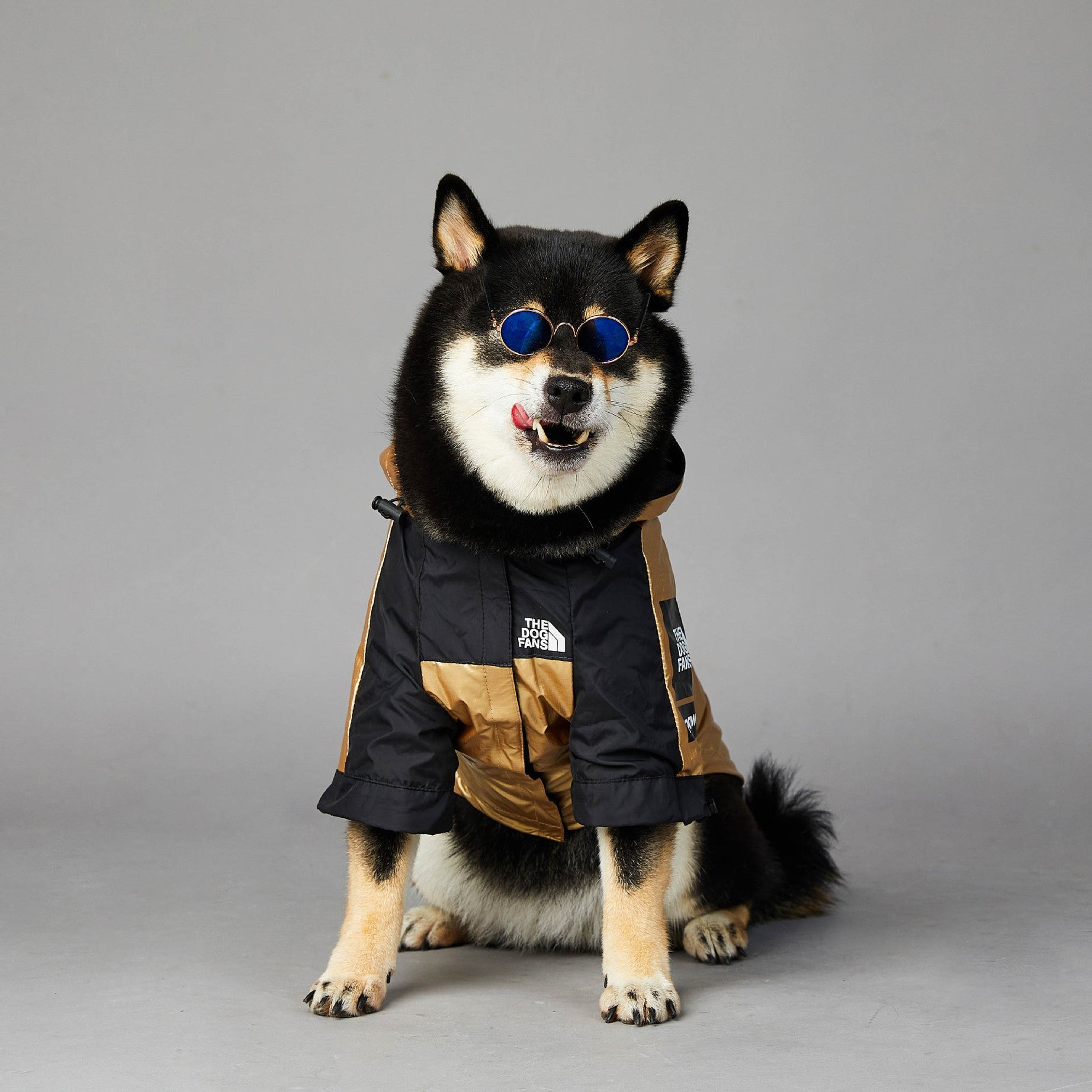 Windproof And Rainproof Dog Large Raincoat Shell Jacket